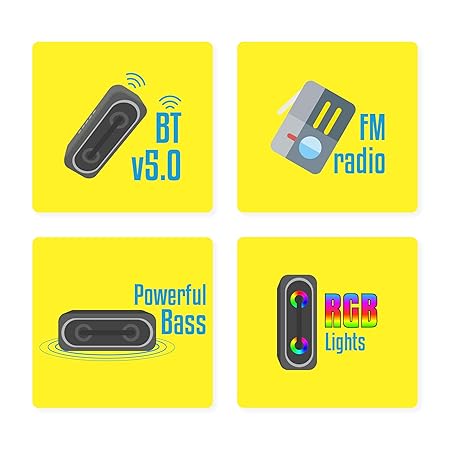 ZEBRONICS Zeb-Delight 20 Portable BT Speaker