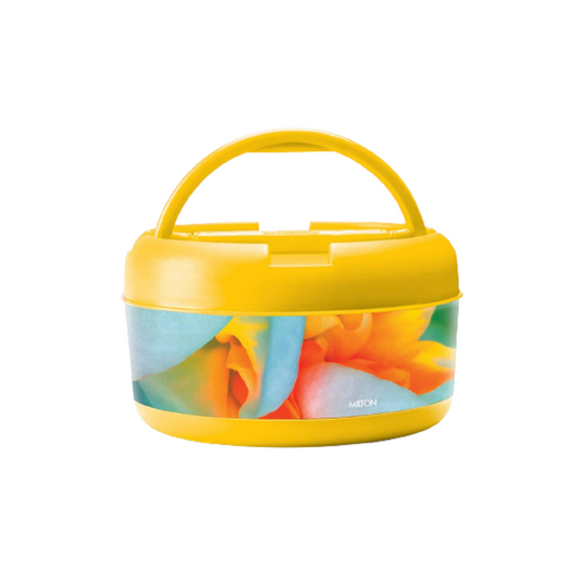 Milton Brunch With Handle Insulated Tiffin 590ml